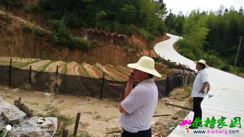 微信图片_20190625200720.webp