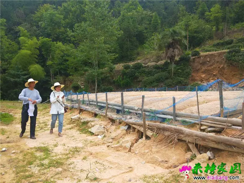 微信图片_20190625200735.webp