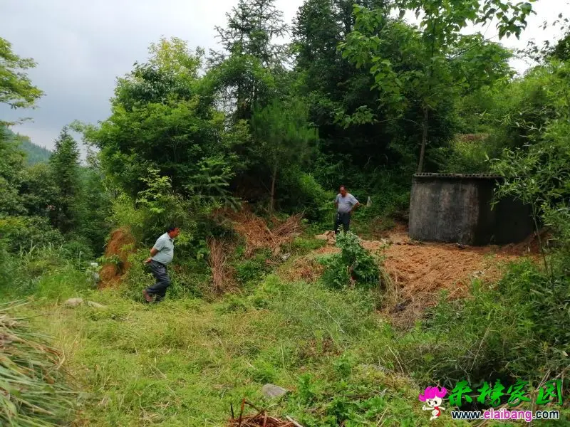 微信图片_20190625200758.webp