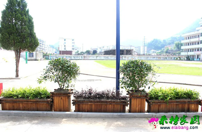 20190625104844722.webp