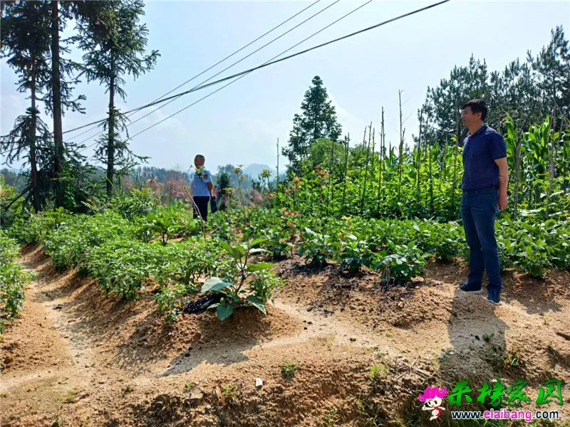 微信图片_20190626192136.webp
