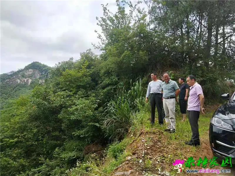 微信图片_20190629205232.webp