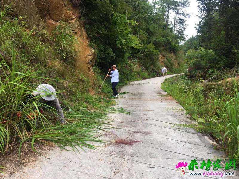 微信图片_20190630210222.webp