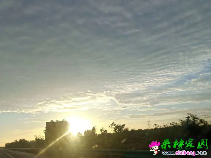 215048j2je626958bo5b8y.webp