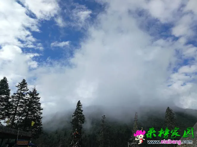 185523k7icy1ig0u5444xm.webp