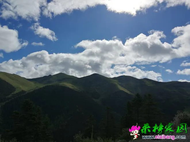 185650e8zsk3k52lll33ul.webp