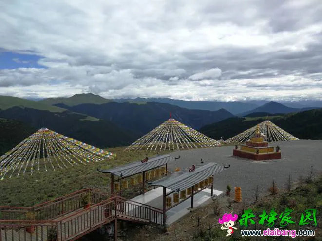 190136twh5gm1gyxw1w75a.webp