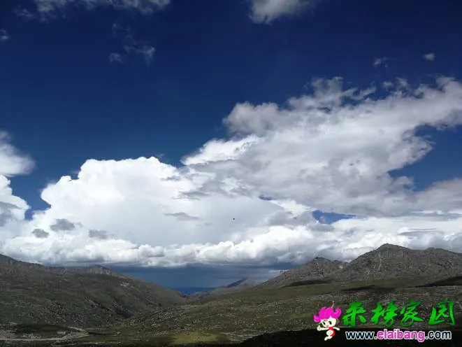 190623joocw3yptl3epilc.webp