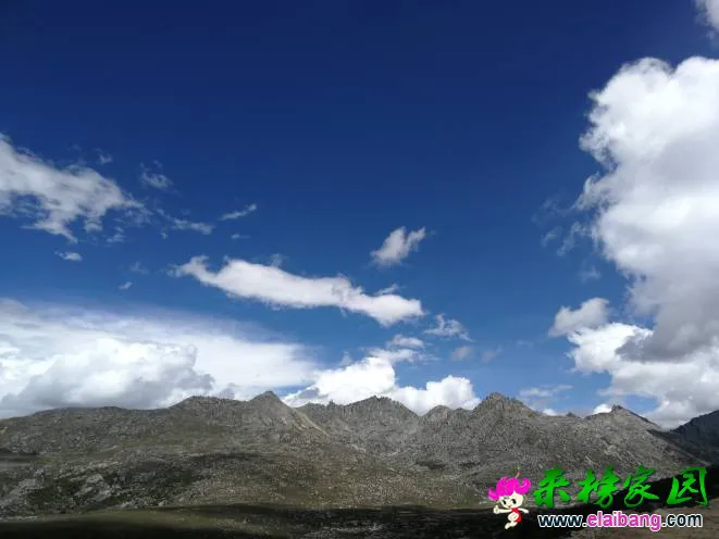 190623s1tj6ugzfu1ftzgd.webp