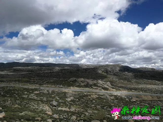 190856k415sjxx8xxxk54l.webp