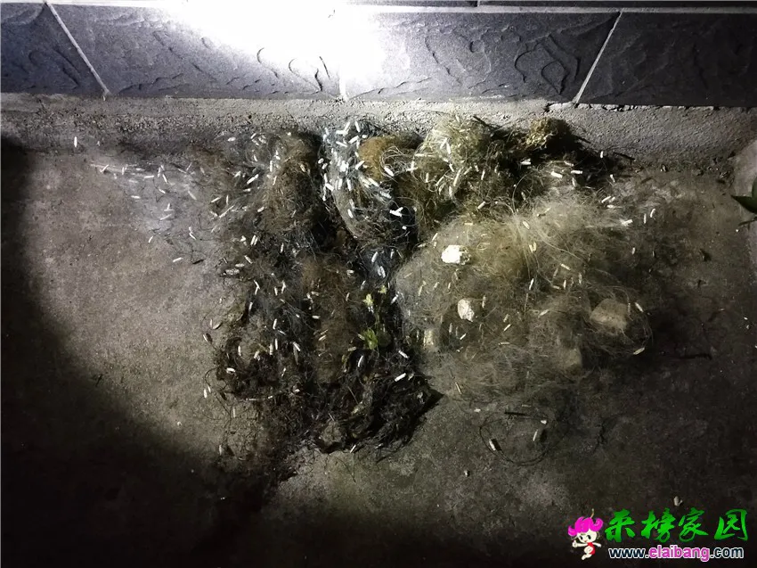微信图片_20190702212507.webp