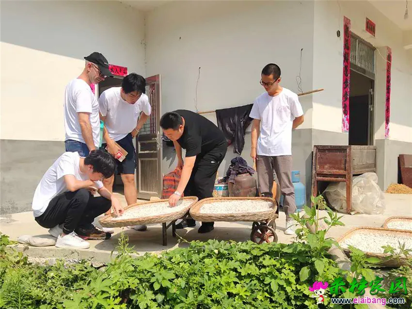 微信图片_20190702212520.webp