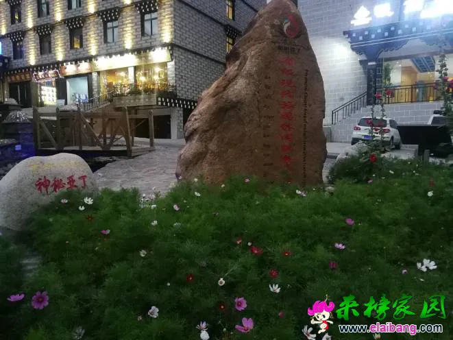 225051zfe3q6wzmwo9xr7f.webp