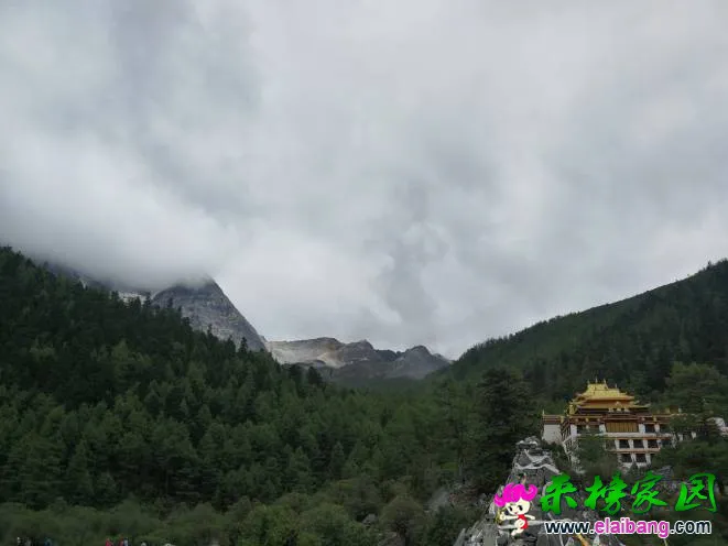 191112cwlwhzmxktrh969w.webp