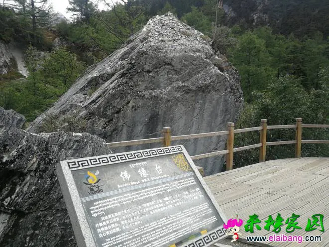 191112qpscb6kcuiusu6gx.webp