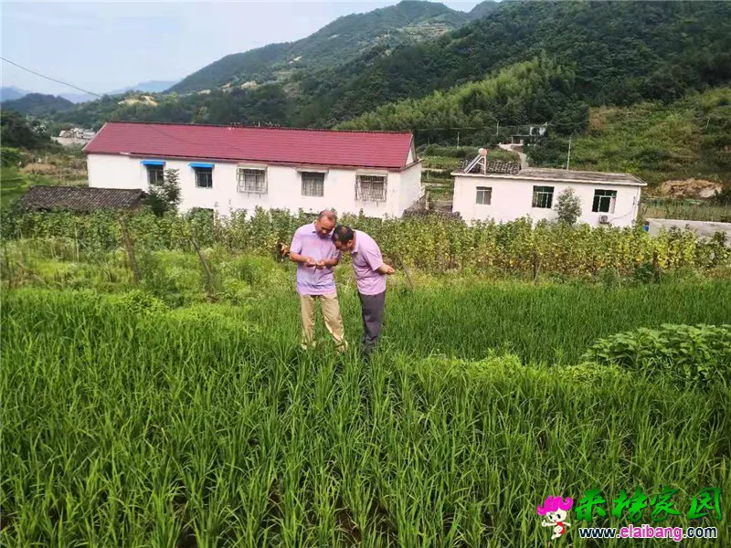 微信图片_20190703205201.webp