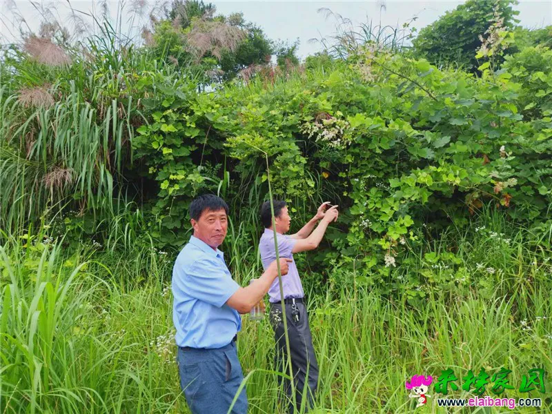 微信图片_20190704165413.webp