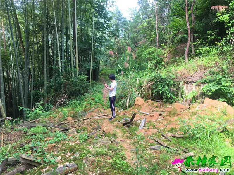 微信图片_20190705194121.webp