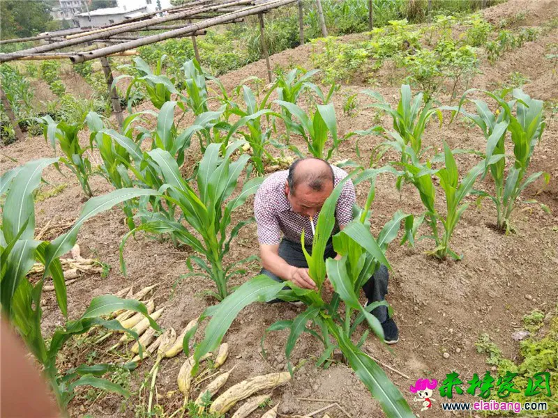 微信图片_20190705194119.webp