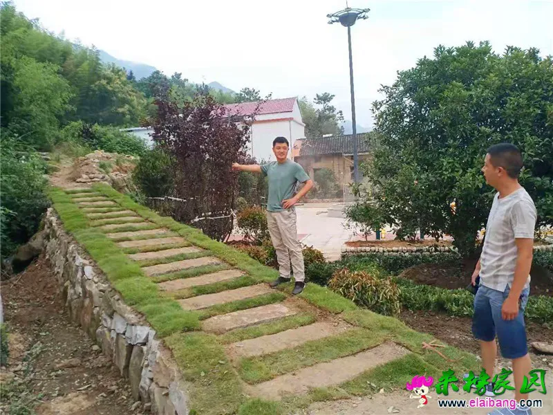 微信图片_20190705194124.webp