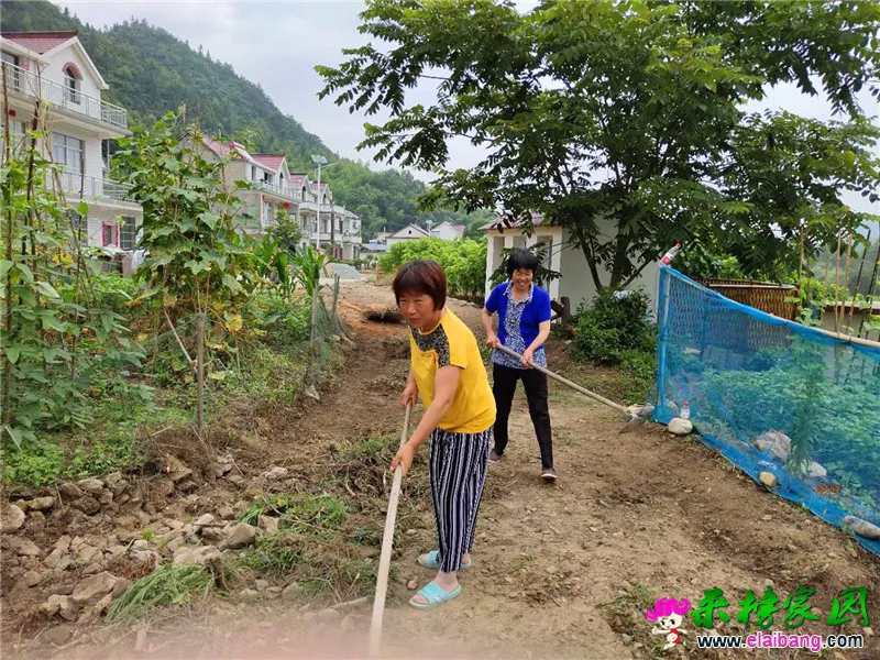 微信图片_20190705194139.webp