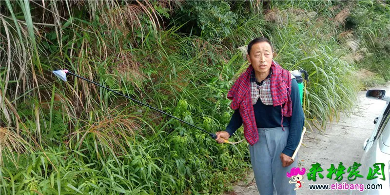 微信图片_20190705194145.webp