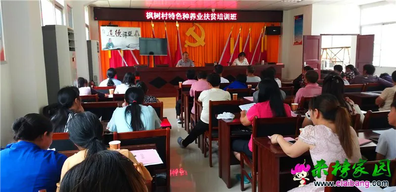 微信图片_20190705194225.webp