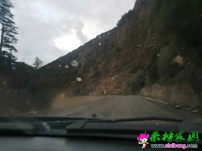 065216x4qk9jmz89qandzk.webp