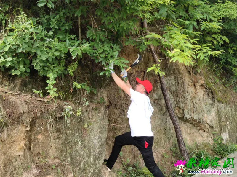 微信图片_20190706210129.webp