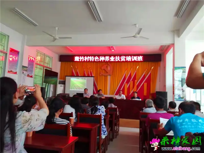 微信图片_20190708204223.webp