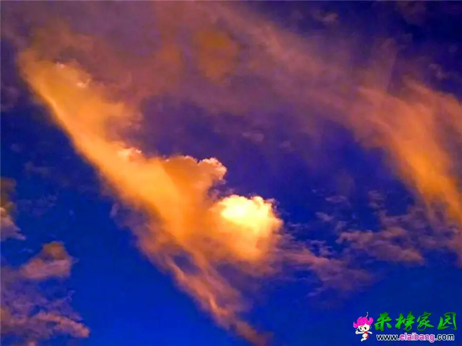 微信图片_20190713205218.webp