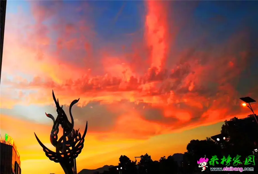 微信图片_20190713205238.webp