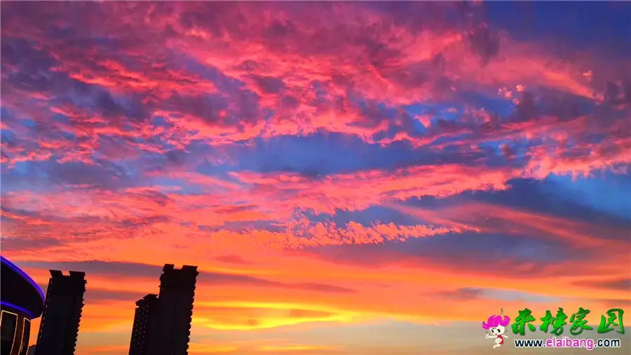 微信图片_20190713205232.webp