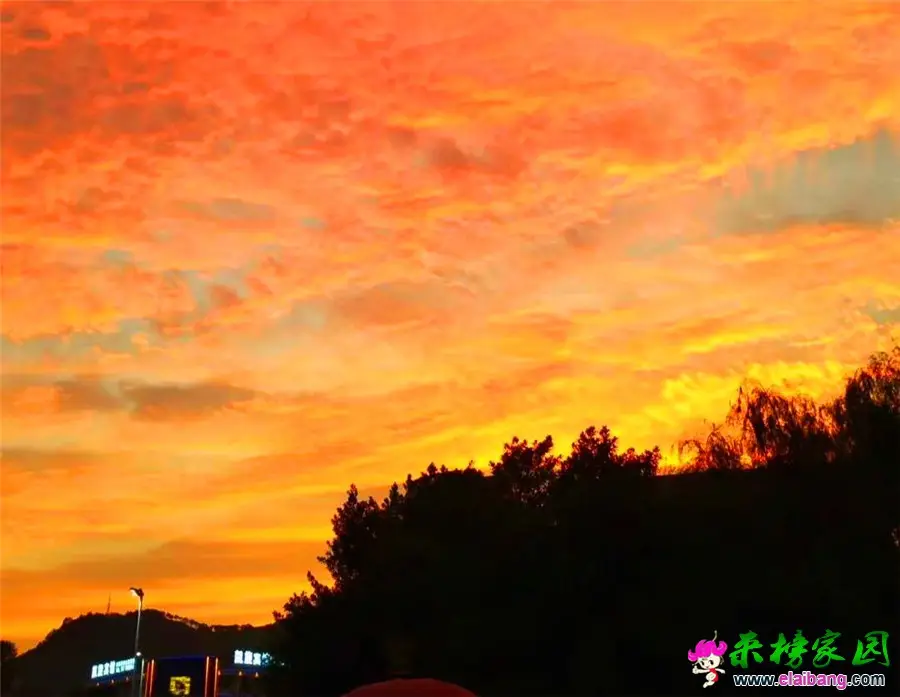微信图片_20190713205244.webp