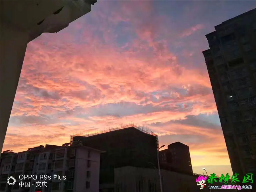 微信图片_20190713205302.webp