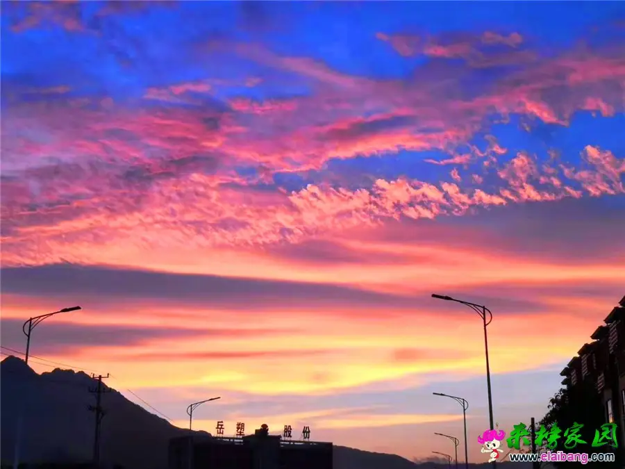 微信图片_20190713205252.webp
