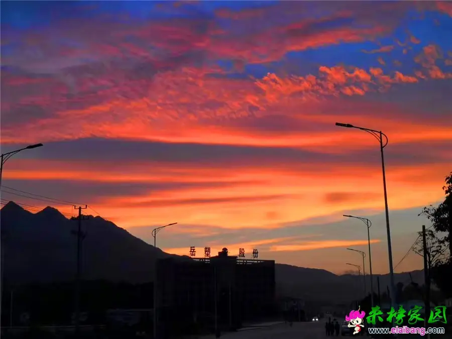 微信图片_20190713205255.webp
