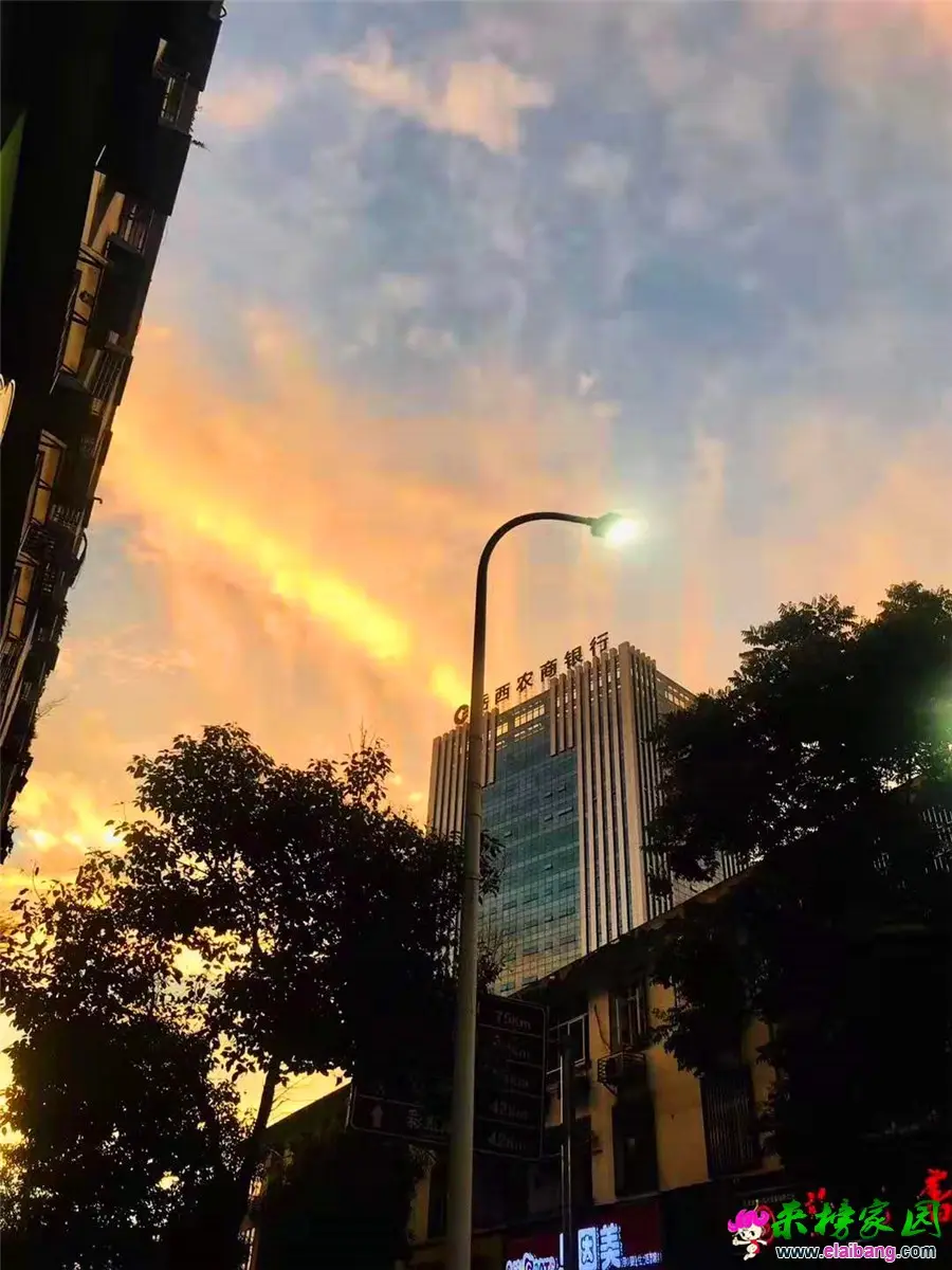 微信图片_20190713205300.webp