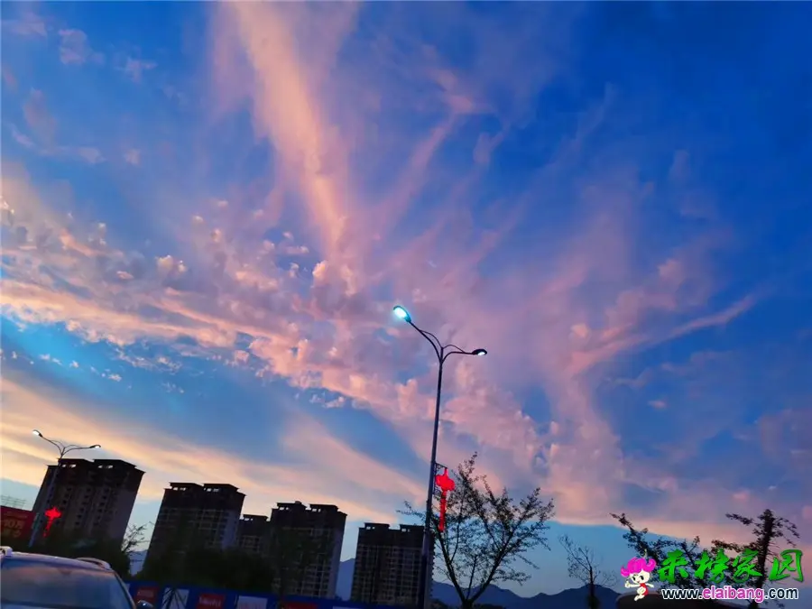 微信图片_20190713205314.webp