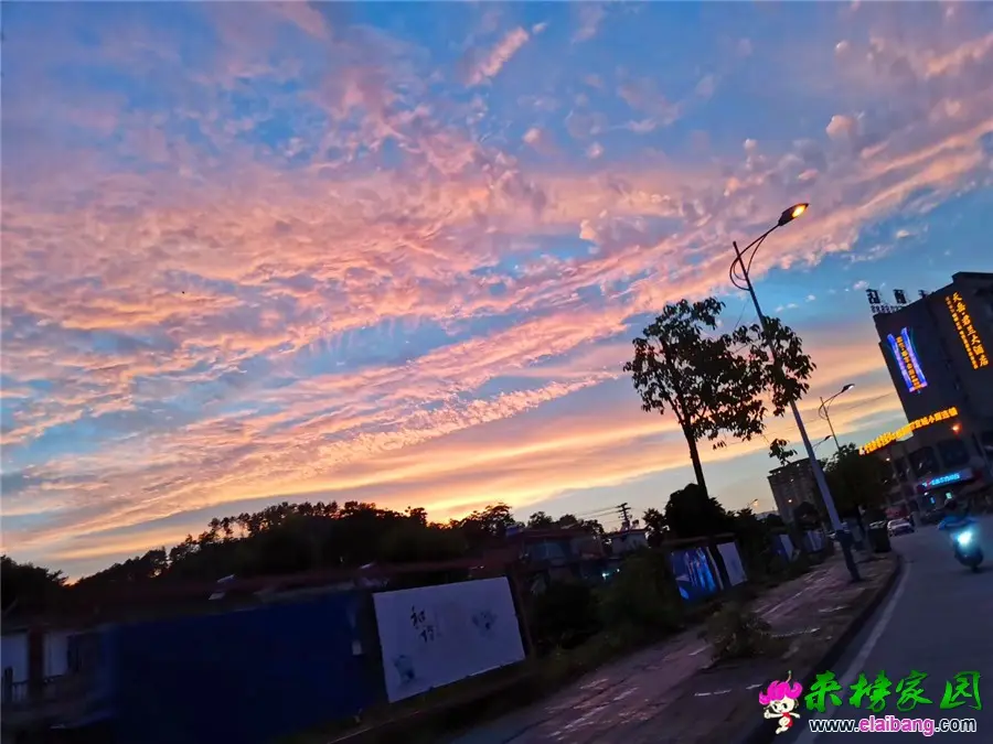 微信图片_20190713205311.webp