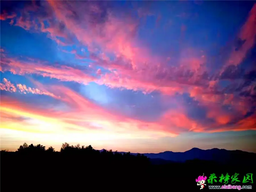 微信图片_20190713205305.webp
