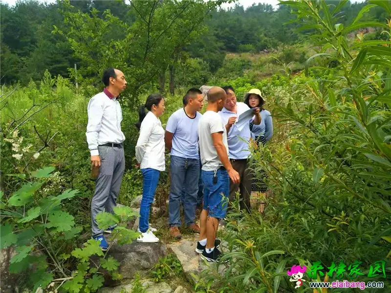 微信图片_20190716144316.webp