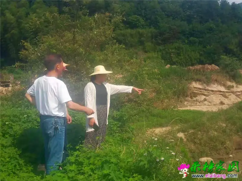 微信图片_20190716161120.webp