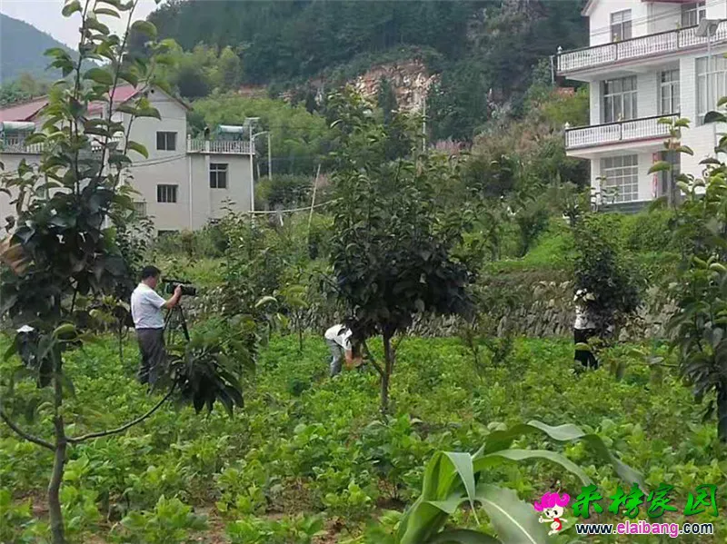 微信图片_20190717201839.webp