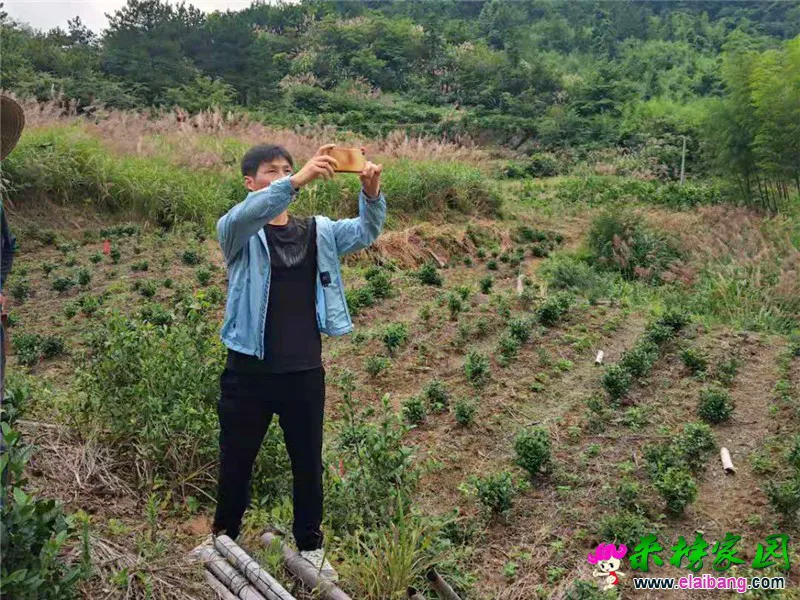 微信图片_20190717201908.webp