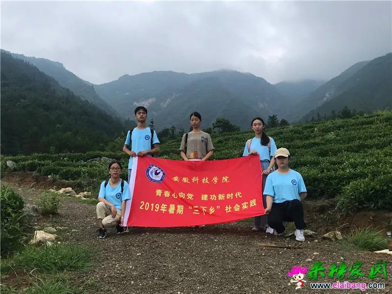 微信图片_20190717201901.webp
