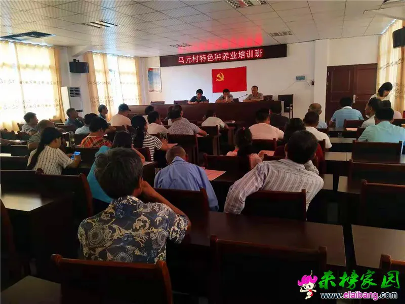 微信图片_20190718173058.webp