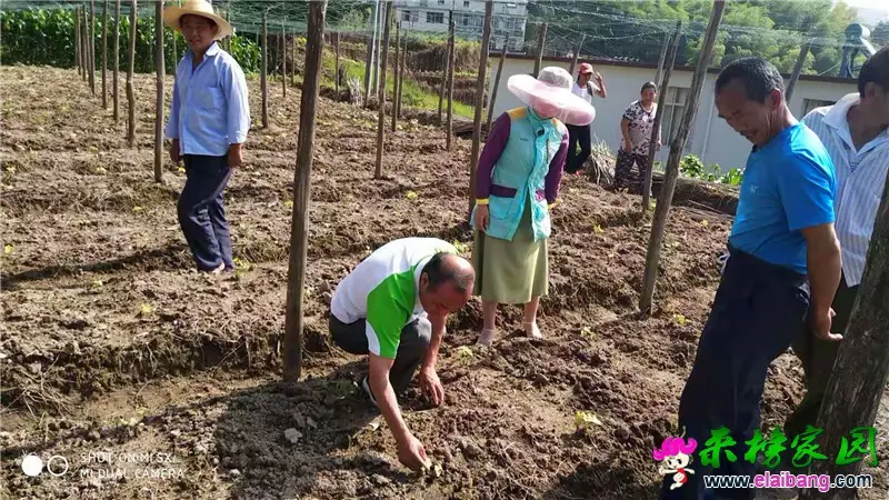 微信图片_20190719213450.webp