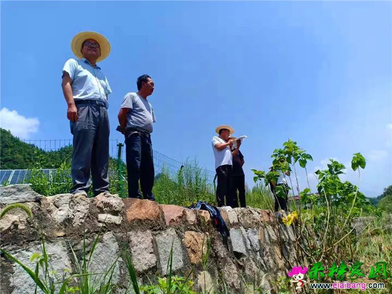 微信图片_20190722172821.webp
