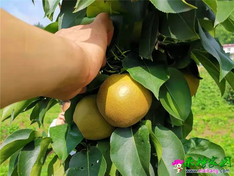 微信图片_20190723230121.webp